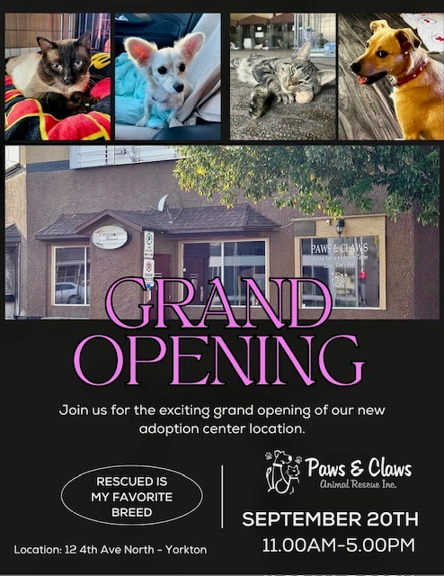 Paws & Claws Grand Opening GX94 Morning Show Interview episode artwork