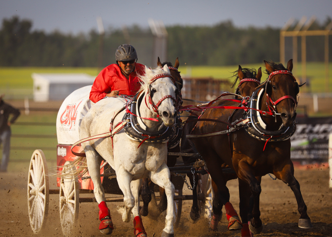 GX94 Chuckwagon episode artwork