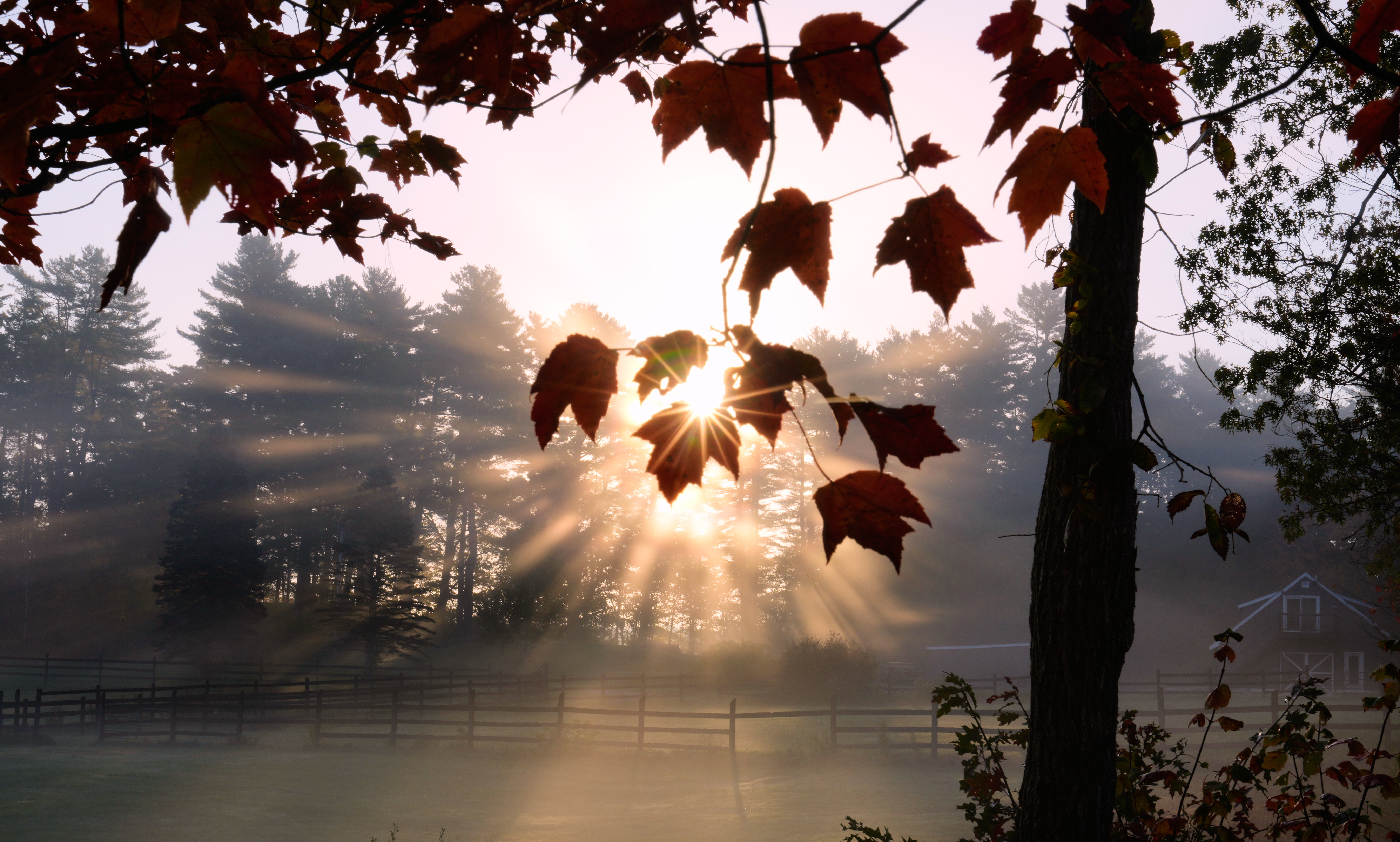 Patrick In The Morning: Get Rid Of Daylight Savings Time? episode artwork