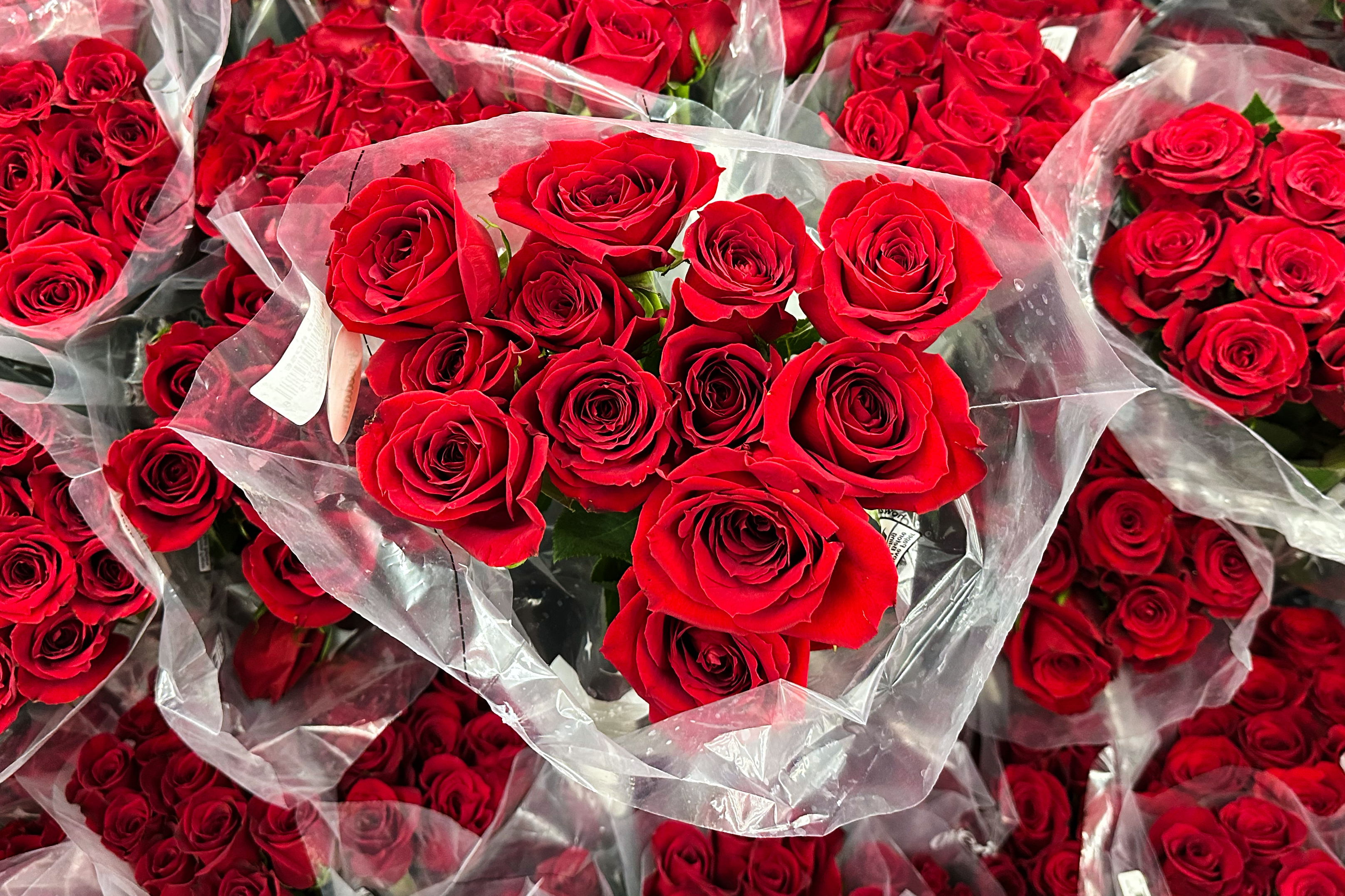 Patrick In The Morning: What We're Buying For Valentines Day episode artwork