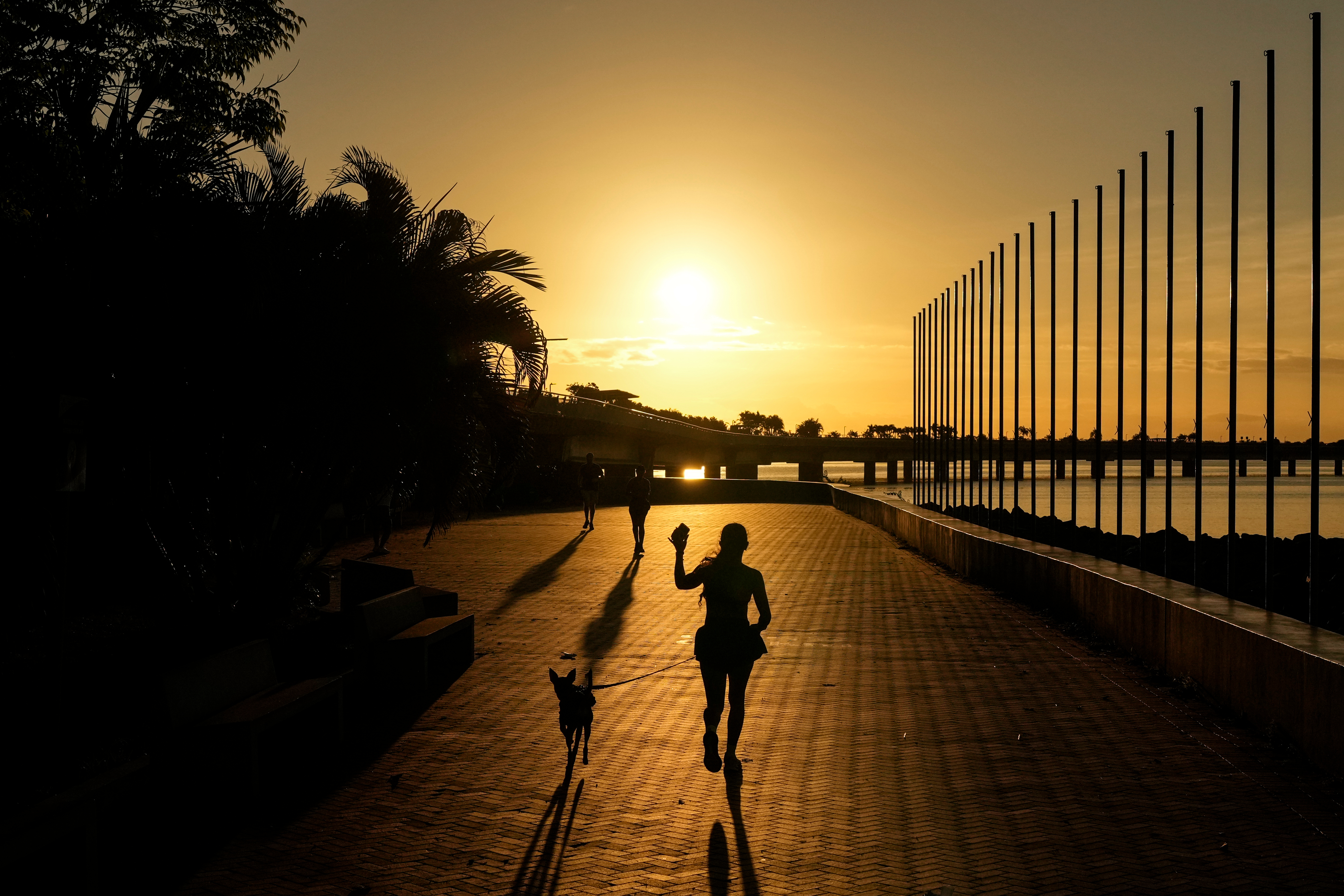 Patrick In The Morning: Startup Wants To Provide Sunlight On Demand episode artwork