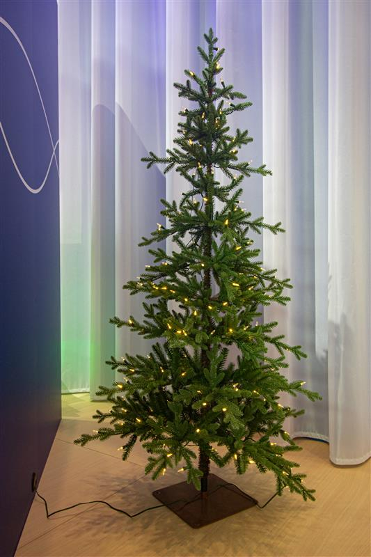 Patrick In The Morning: Artificial Christmas Tree, Now The Norm