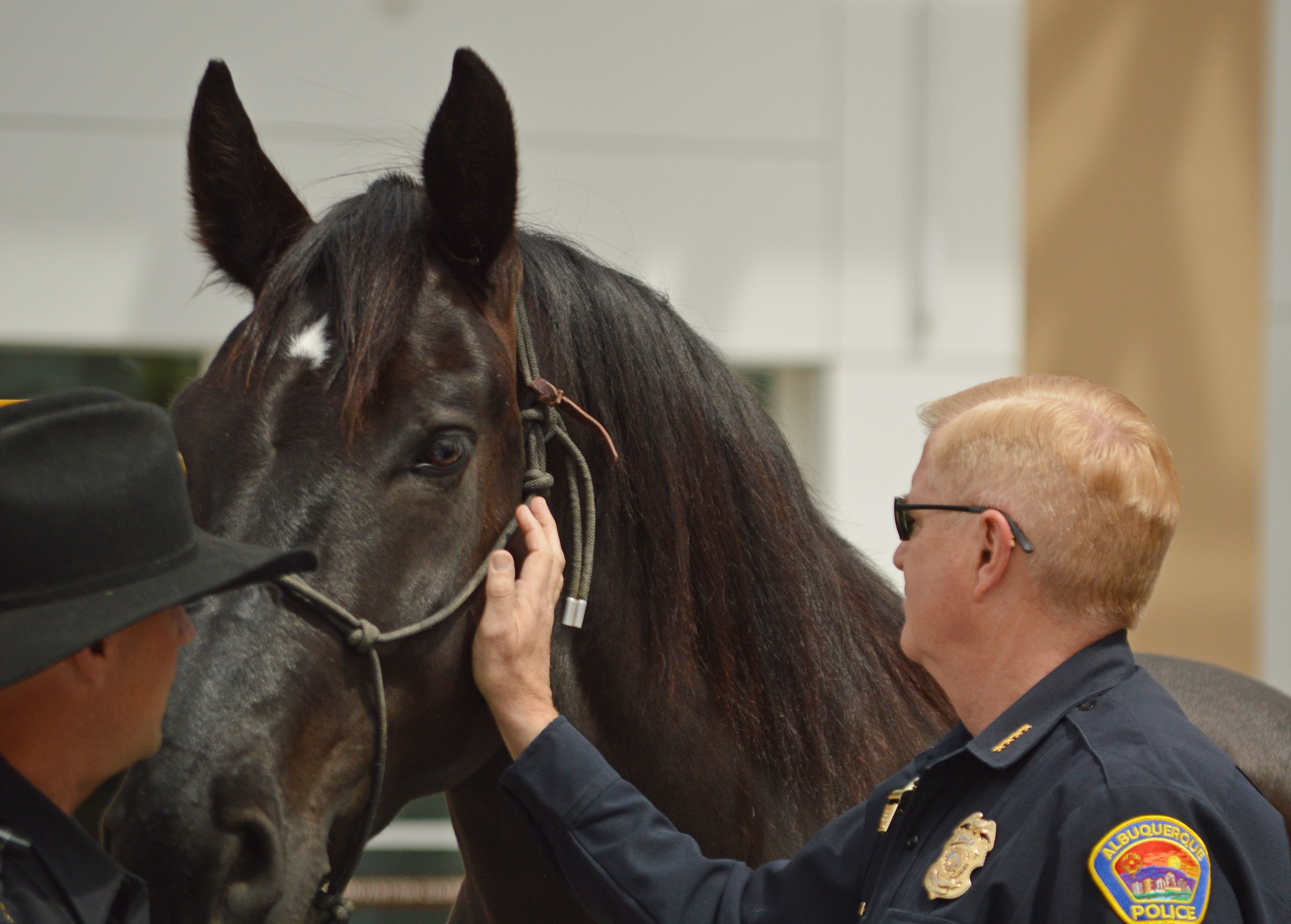 Patrick In The Morning: Cop's "Drug Sniffing Horse" Joke Gets Taken Way Too Seriously episode artwork