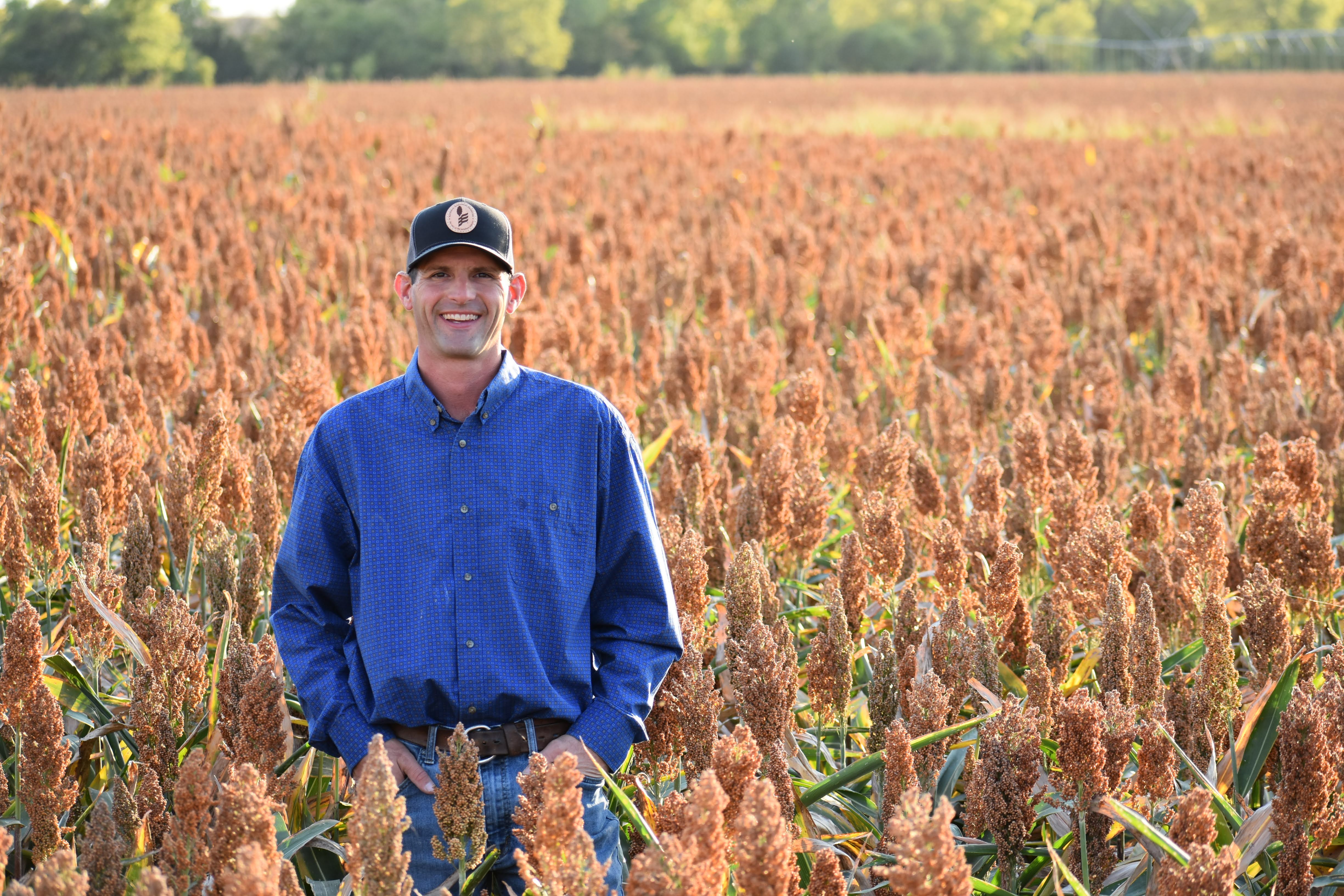 Sorghum growers anticipate good crop but face market challenges