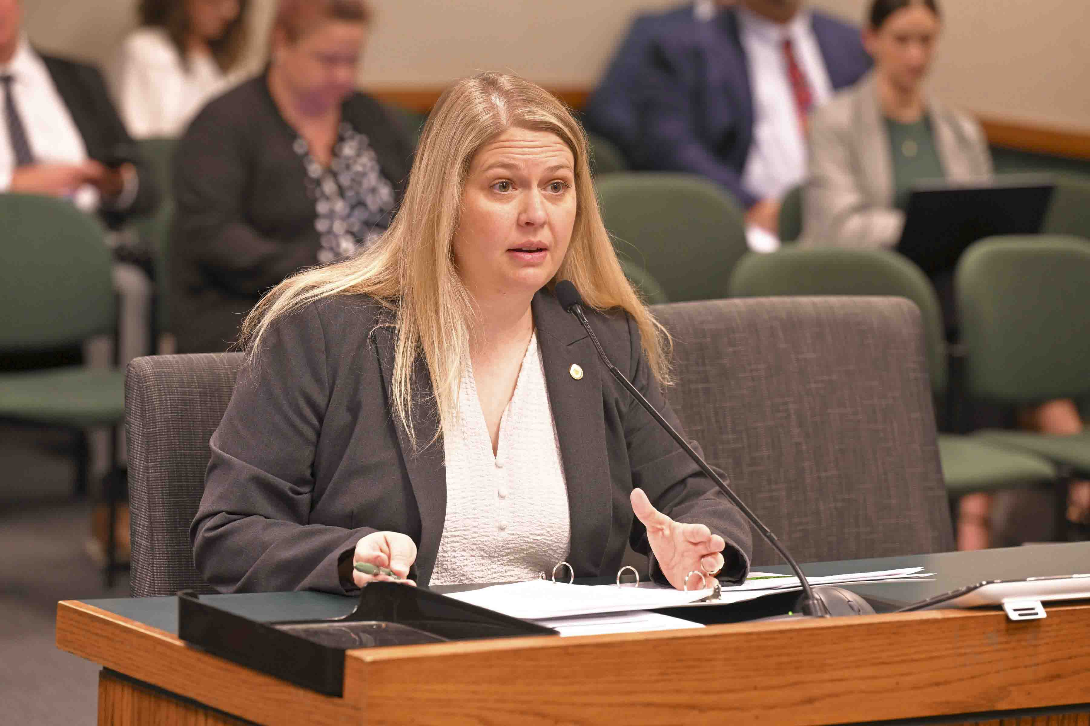 (LISTEN): State Rep. Melanie Stinnett (R-Springfield) discusses prior authorizations on "Wake Up Missouri" episode artwork