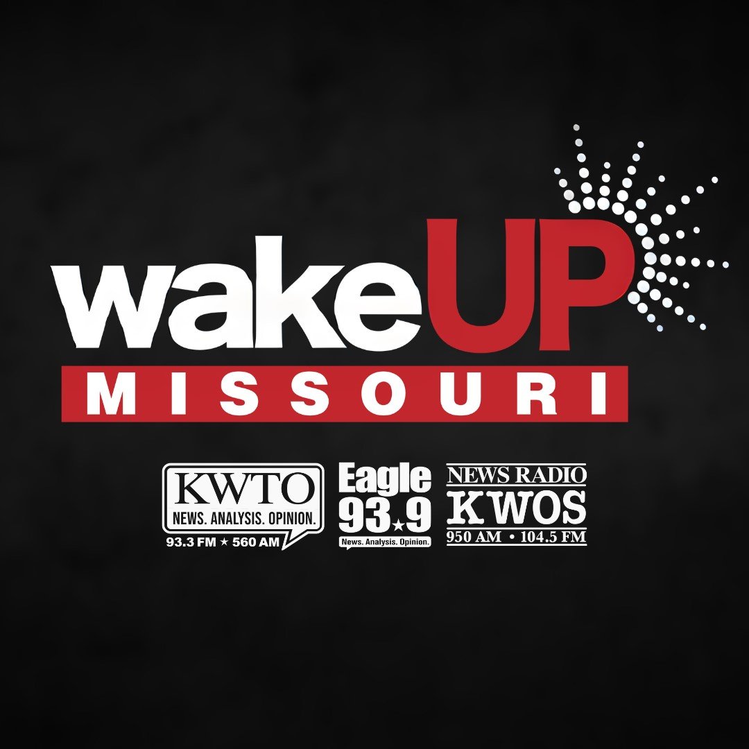 (LISTEN): State Rep. David Tyson Smith (D-Columbia) appears on  "Wake Up Missouri" episode artwork