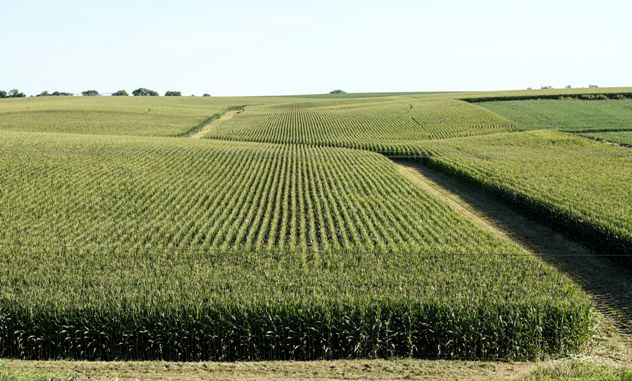 KZRG Morning News Watch