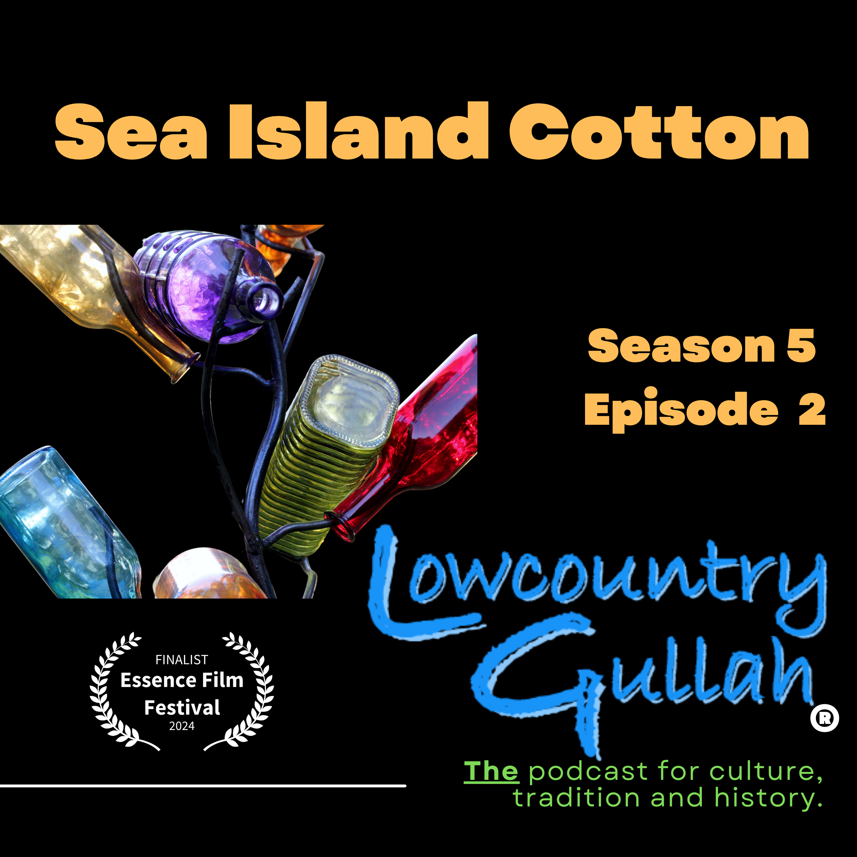 Sea Island Cotton