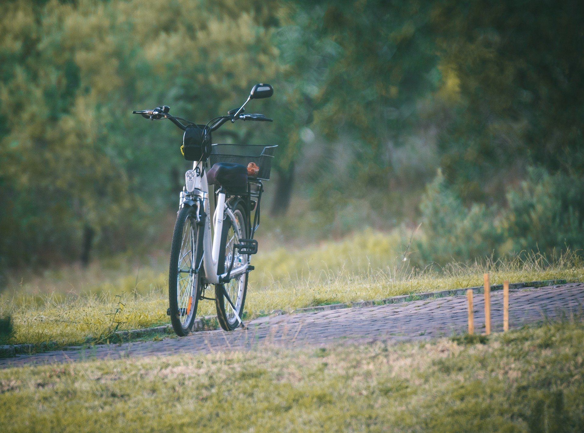 Rising Dangers of E-Bikes