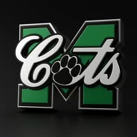 Mogadore Wildcats in the Regional Finals