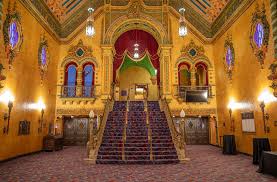 Halloween Weddings with Akron Municipal Court
