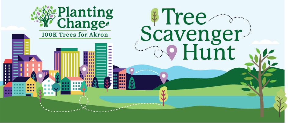 Akron Planting Trees, Tree Health & More
