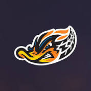 RubberDucks Sold to Prospector Baseball Group