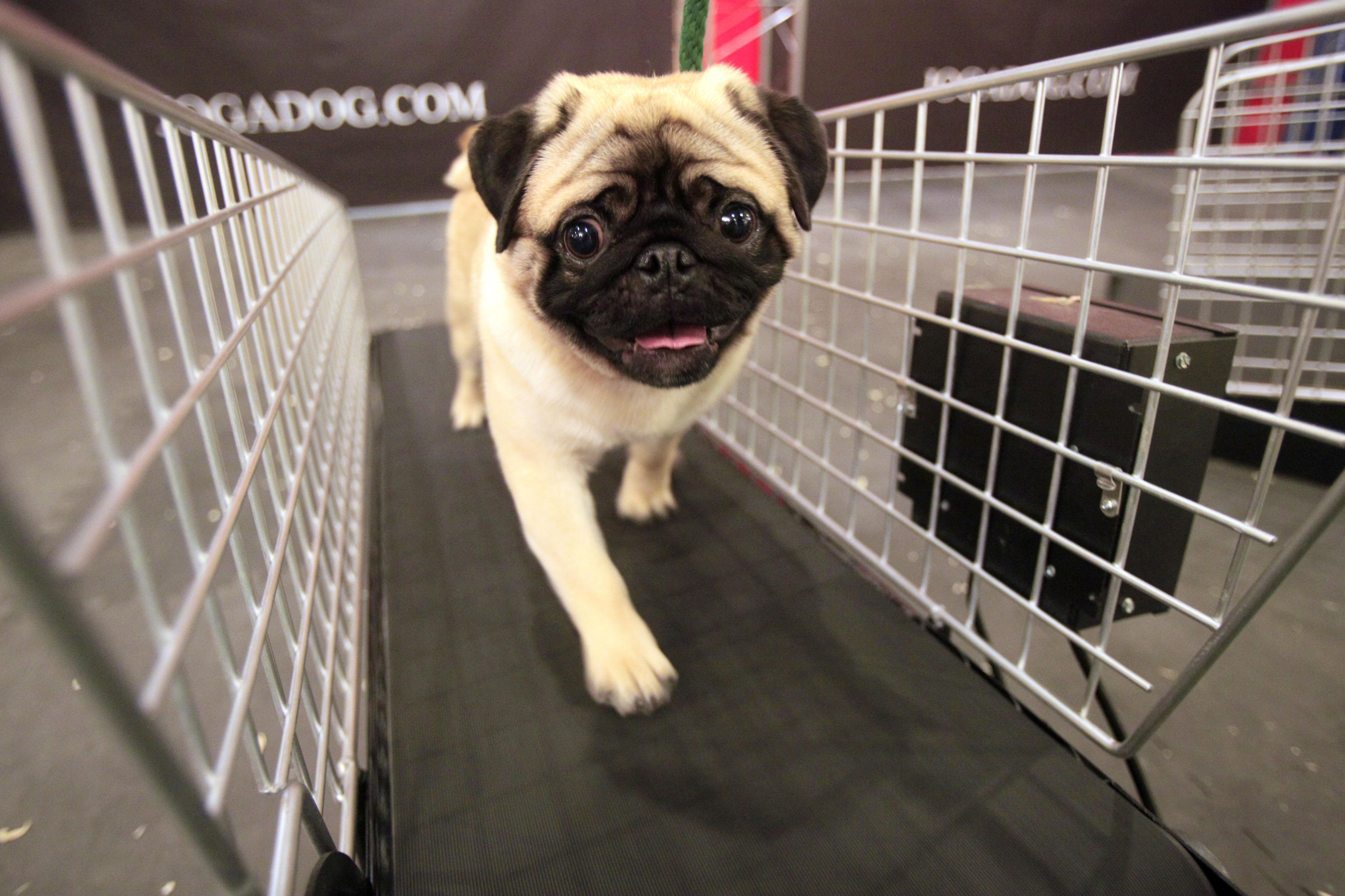 10-15-2025 Woody Game Wednesday