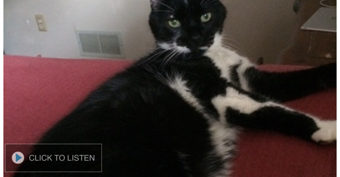 NewsDay Amarillo With Tim & Kelli