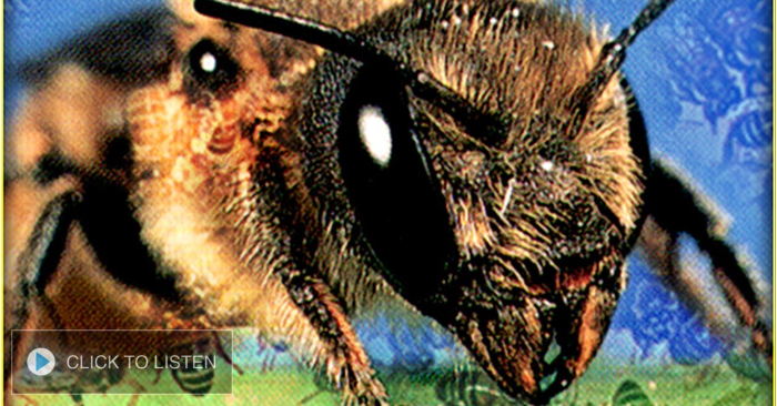 NewsDay Amarillo With Tim & Kelli