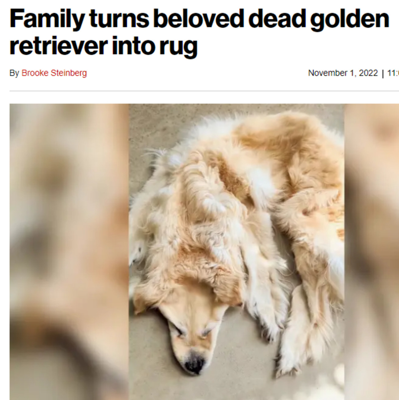 Really Sweet or Really Odd? Family Turns Passed Golden Retriever Into a Rug episode artwork