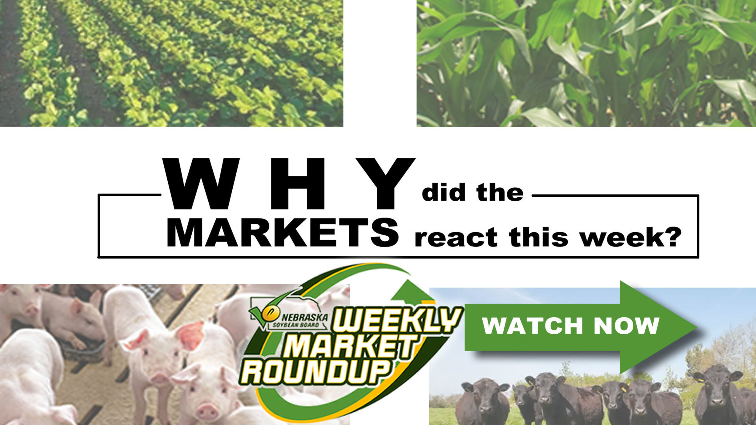 Could we run out of beans?  Weekly Market Roundup