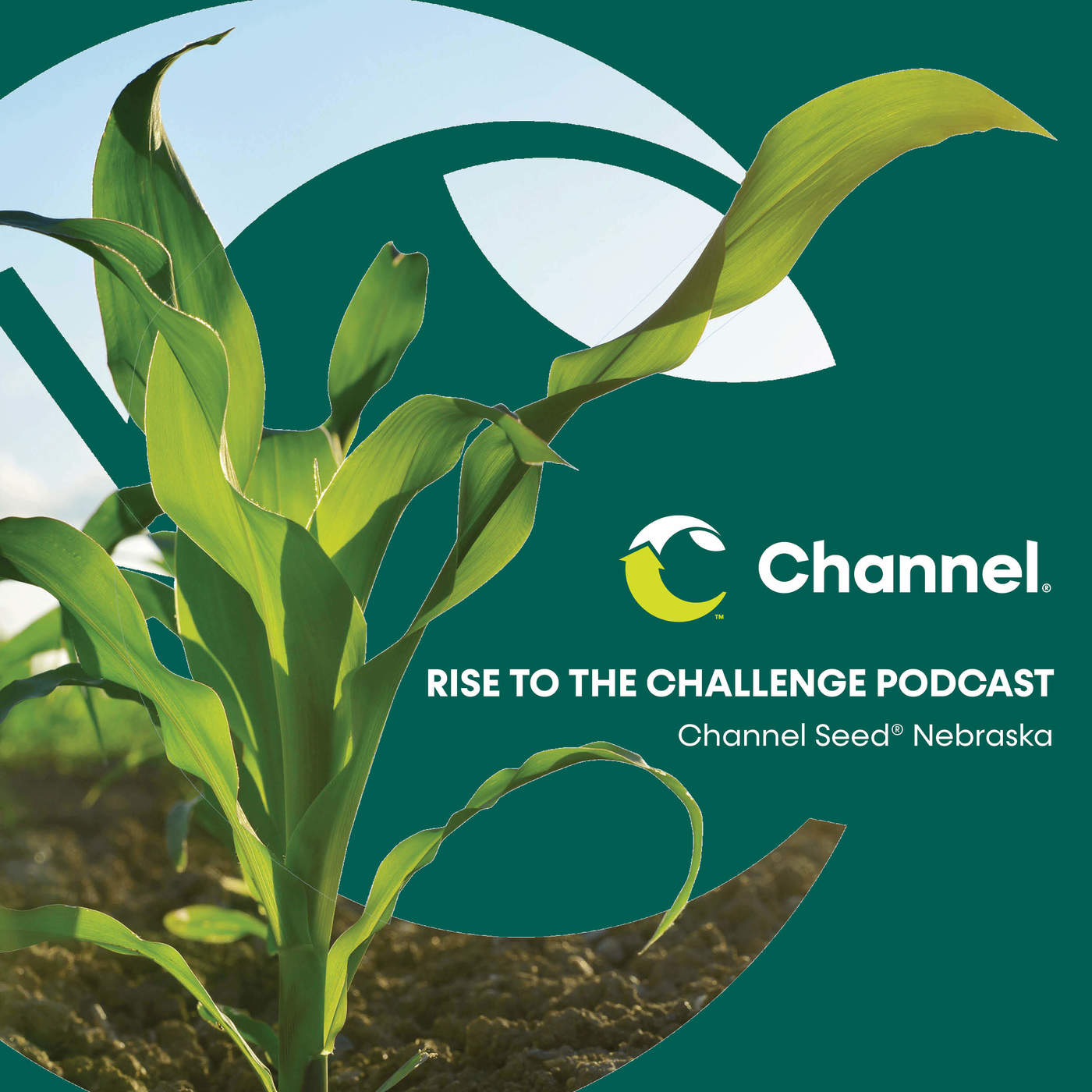 Channel Nebraska \