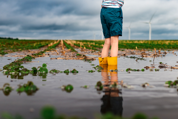 What's Next For Iowa Weather? episode artwork