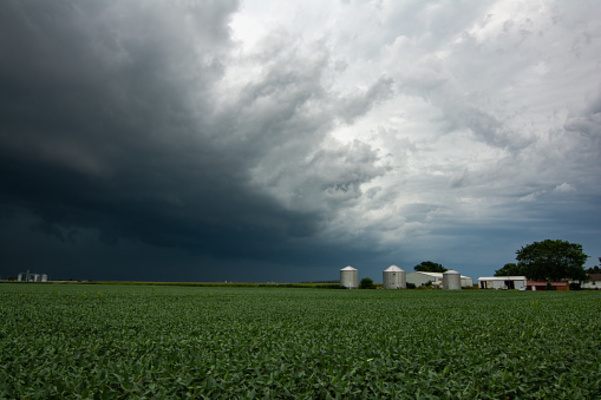 Eastern Iowa's View of the 7/15 Derecho episode artwork