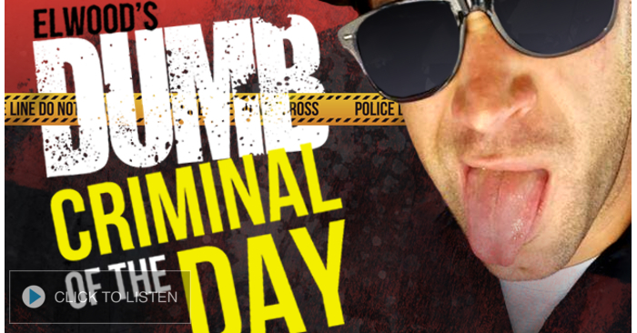 DUMB CRIMINAL 6-05-2019