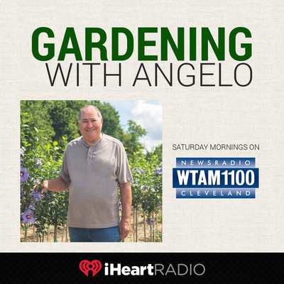 WTAM 1100 Podcasts