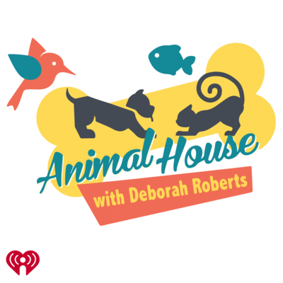 JCS: Pet Alliance of Greater Orlando